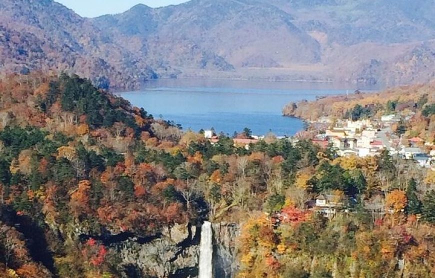 Full Day Private tour & sightseeing to Nikko(Eng speaking Driver)