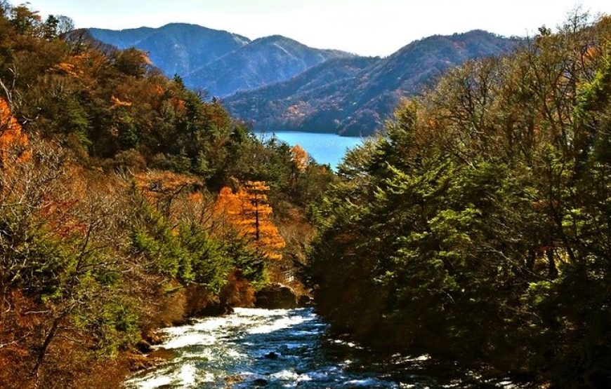 Full Day Private tour & sightseeing to Nikko(Eng speaking Driver)