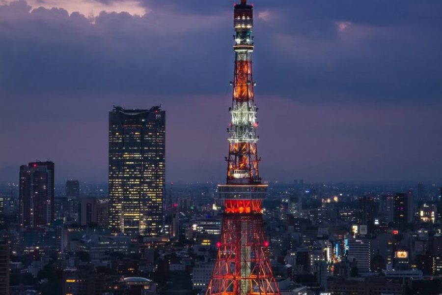 Private Day Tokyo Tour Custom Itinerary / English-Speaking Driver