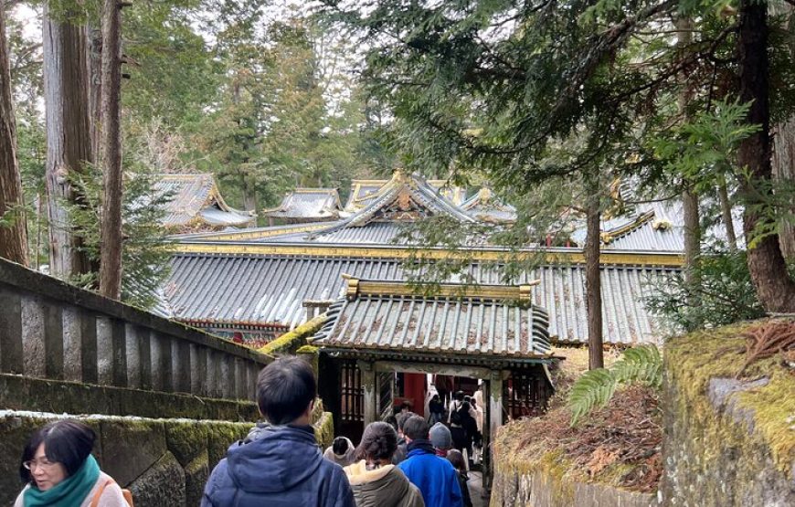 Full Day Private tour & sightseeing to Nikko(Eng speaking Driver)